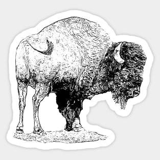 Bison Sticker